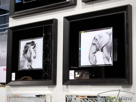 Obraz zdjęcie czarno białe słoń 60x60 cm S61574 