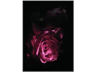 Nowoczesny obraz z różą 122x82 cm TOIR25601