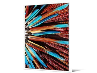 Obraz multikolor pióra 104x144 cm TOIG22802