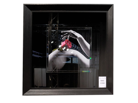 Obraz zdjęcie akt róża 60x60 cm S70760 