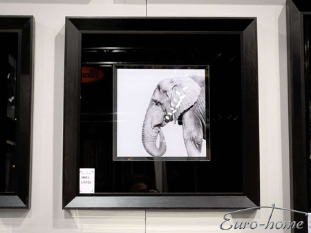 Obraz zdjęcie czarno białe słoń 60x60 cm S61574 