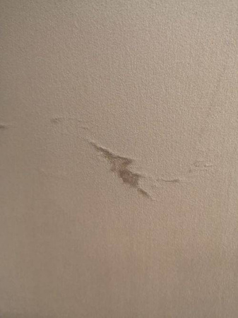 OUTLET Nowoczesne welurowe krzesło 45x53x90 cm Y211