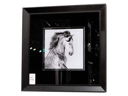 Obraz postać koń 60x60 cm S61577
