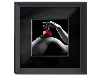 Obraz zdjęcie akt róża 60x60 cm S70760 