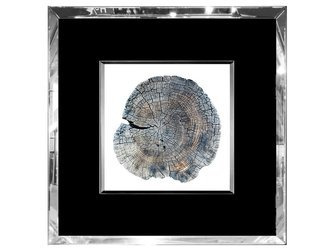 Obraz rysunek pień 55x55 cm S22708 