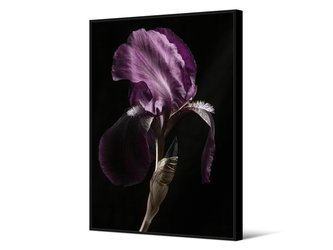 Obraz z fioletowym kwiatem 102x142 cm TOIR26605