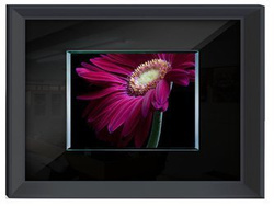 Obraz różowy kwiat 80x60 cm S20825