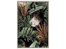 Obraz z motywem botanicznym 80x120 cm F30100