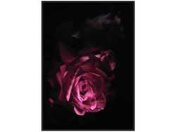 Nowoczesny obraz z różą 122x82 cm TOIR25601