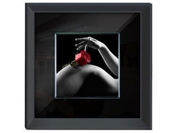 Obraz zdjęcie akt róża 60x60 cm S70760