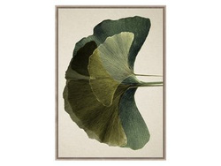 Botaniczny obraz 104x144 cm TOIR23229