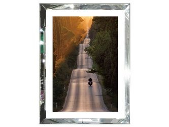 Obraz Aleja Cyprysowa Toskania 80x60 cm S32557 