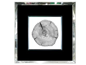 Obraz rysunek pień 55x55 cm S22711